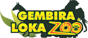 gembira-loka-zoo